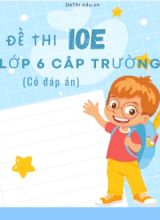 Bộ đề thi IOE Lớp 6 cấp trường (Có đáp án)